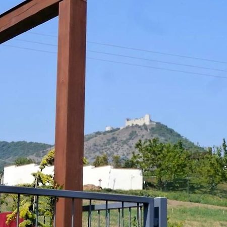 Palava Eu 8 Apartment Павлов Екстериор снимка